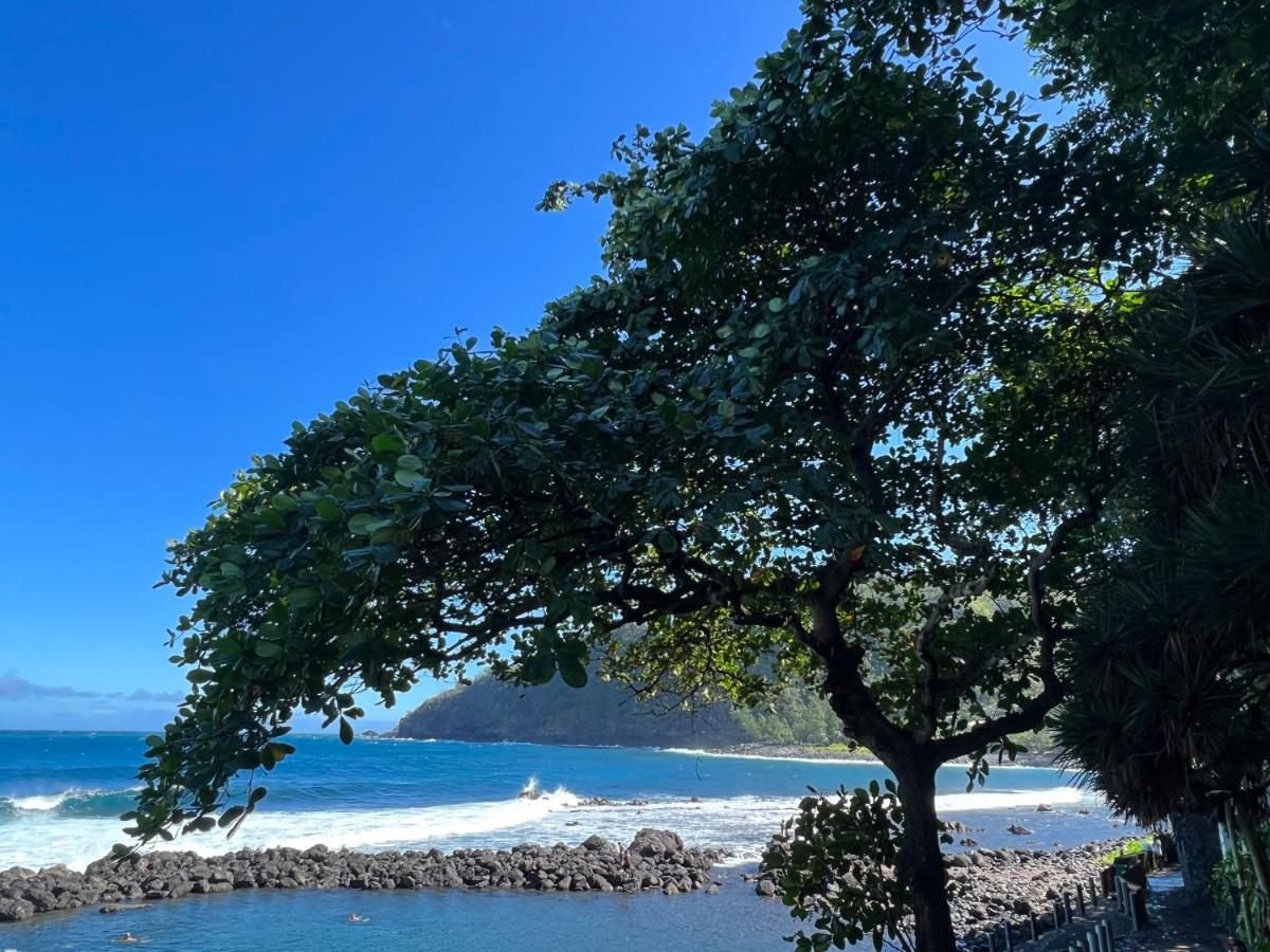 Le Liseron Creole - Entre Terre, Mer Et Riviere - Proche Toutes Commodites Saint-Joseph Luaran gambar